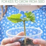 Simple Plant Guide For Kids