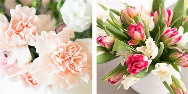 Solutions For Long-lasting Flower Deliveries