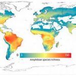 Spatial Distribution Plant Biodiversity