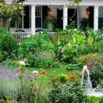 “strong Fragrance Garden Varieties”