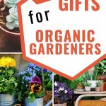 Sustainable Garden Gift Ideas
