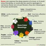 “symbolism Of Flower Colors”
