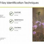 Techniques For Wildflower Field Identification