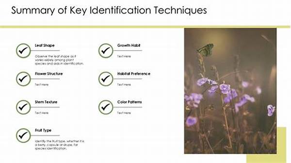 Techniques For Wildflower Field Identification