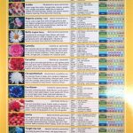 Temperature Guidelines For Flower Care