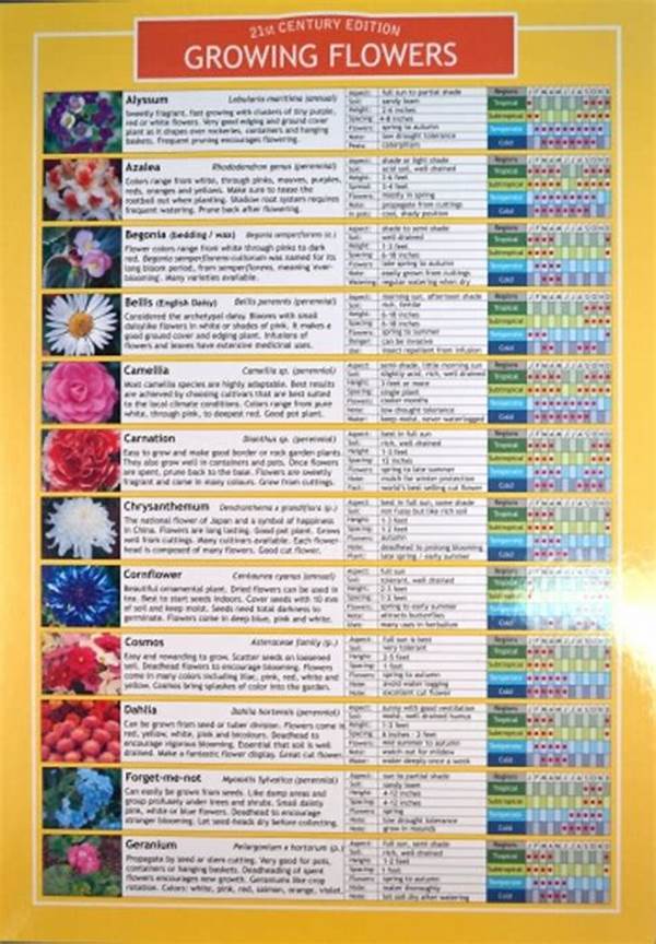 Temperature Guidelines For Flower Care