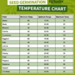 Temperature Settings For Flower Longevity