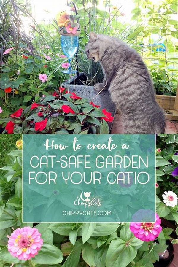 Toxic-free Flowers For Cat Gardens