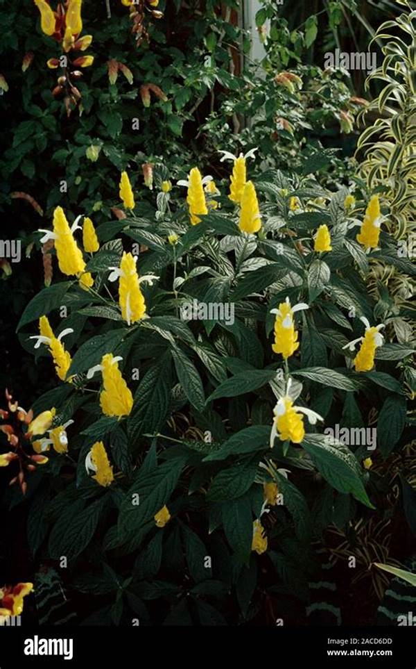Versatile Year-round Bloomer Selections