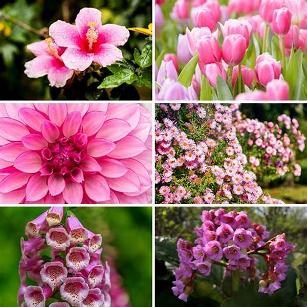 Year-round Blooming Flower Varieties