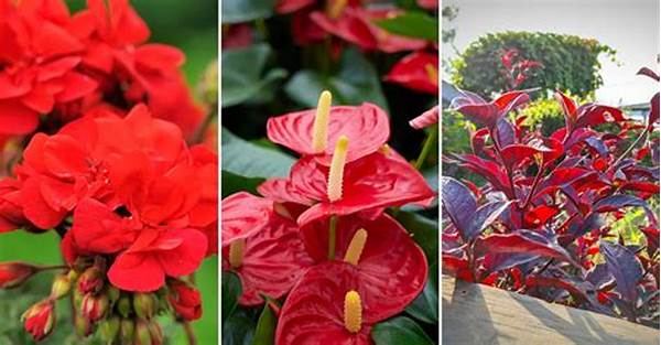 Year-round Indoor Flower Decorations