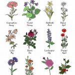 “zodiac Sign Birthday Flowers Guide”