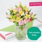 Affordable Blooms Delivered Monthly