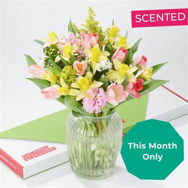 Affordable Blooms Delivered Monthly