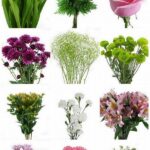 Affordable Blooms For Weddings
