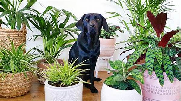 Animal-friendly Greenery For Indoors