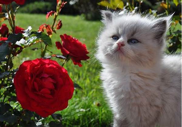Best Flowers For Homes With Cats