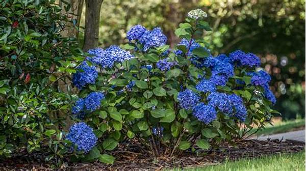 Best Sunlight Conditions For Blooming