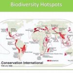 Biodiversity Hotspots For Endemic Flowers