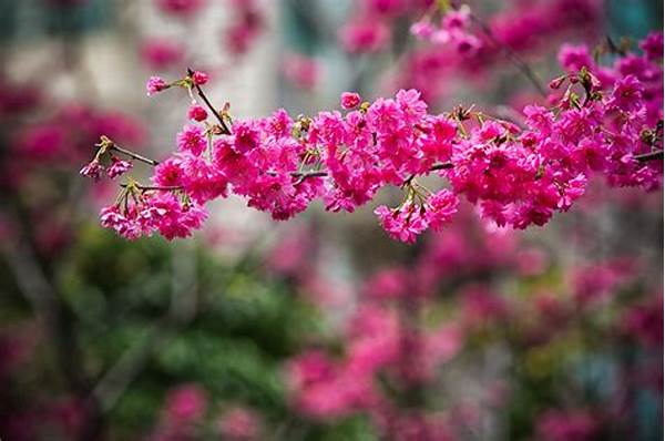 Blossoms Endemic To Specific Locales