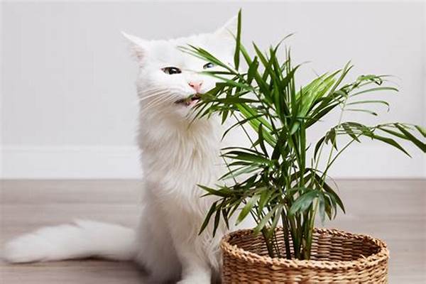 Cat-friendly Indoor Gardening Guide