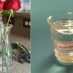 Chemical-free Approaches To Floral Preservation