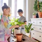 Child-friendly Indoor Flower Options