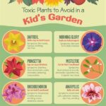 Choosing Safe Flowers For Toddlers