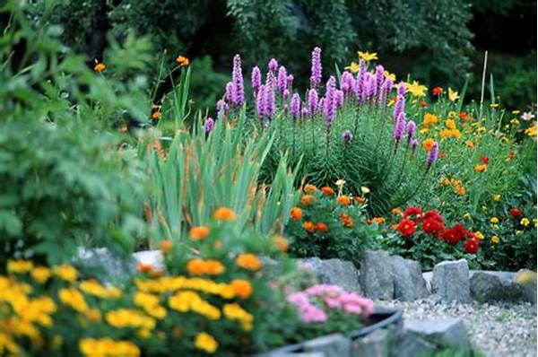 Choosing Wildflowers For Small Gardens