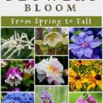 Colorful Blooms Every Single Month