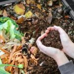 Composting For Garden Sustainability