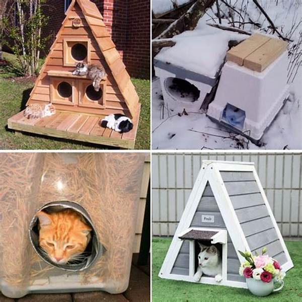 Cool Shelter Ideas For Cats.