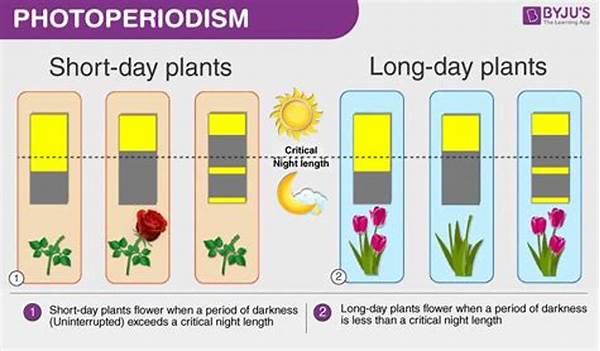 Day Length For Plant Blooming