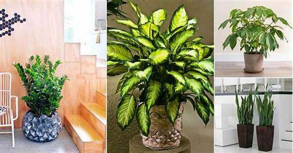 Easy-care Indoor Plants For Families