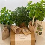 Eco-friendly Gardening Presents