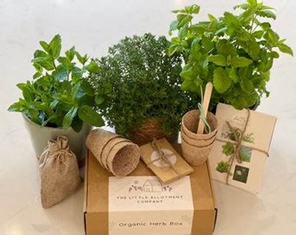 Eco-friendly Gardening Presents