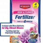 Effective Fertilizer For Blooming Flowers