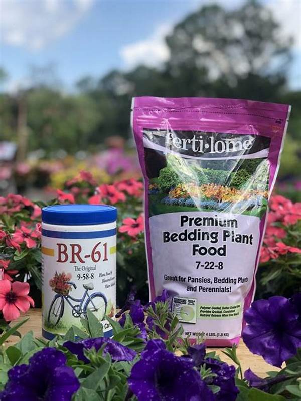 Effective Fertilizing For Seasonal Flowers