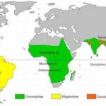Endemic Wildflower Species Geographical Range