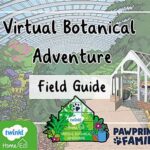 Field Guide Adventures In Botanic Exploration