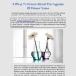 Flower Vase Hygiene Techniques