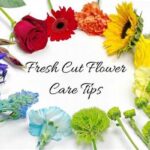 Fresh Flower Care After Delivery