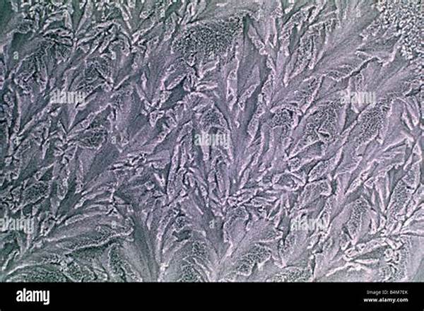 Frost Effect On Blossom Emergence