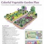 Garden Layout For Safe Blooms