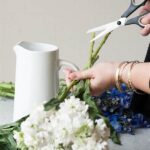 How To Preserve Cut Flowers