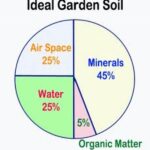 Ideal Soil Composition For Blossoms