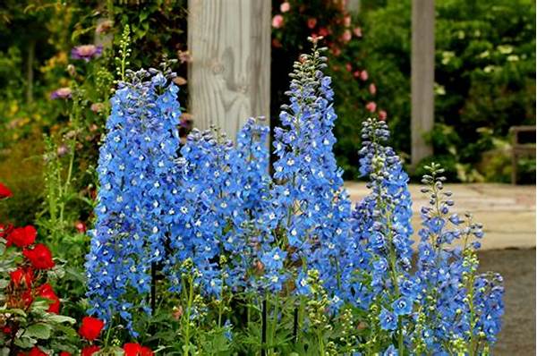 Ideal Sunlight For Blooming Flowers