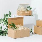 Innovative Biodegradable Wrapping Options