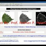 Learning Local Plant Species Identification