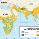 Limited Geographical Range Of Wild Plants